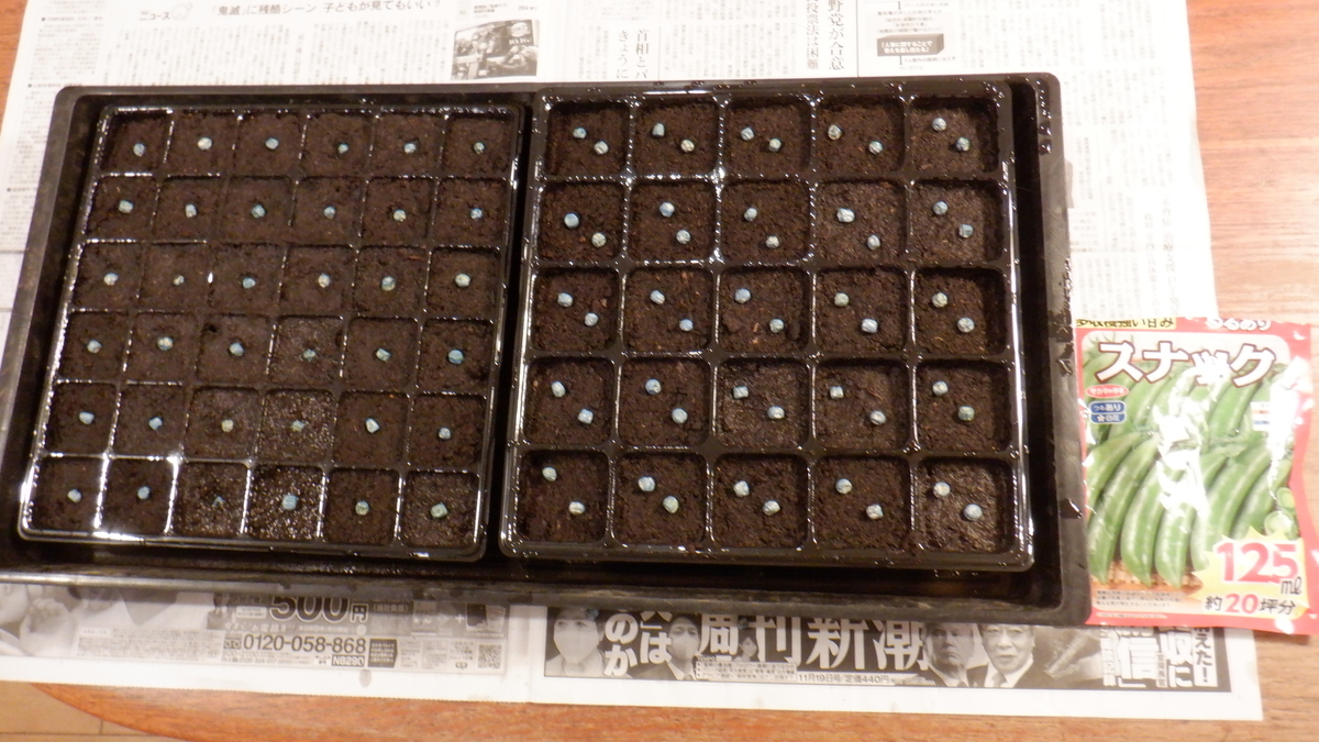 f:id:cafelegume:20201120210155j:plain