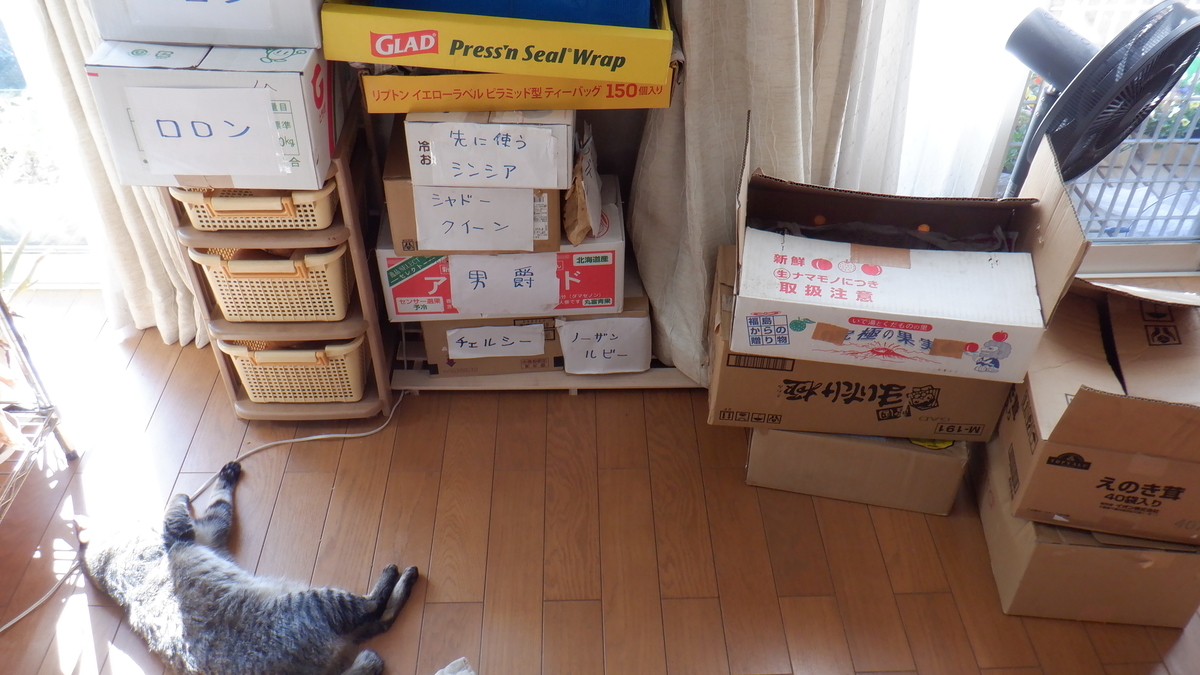 f:id:cafelegume:20201129210135j:plain