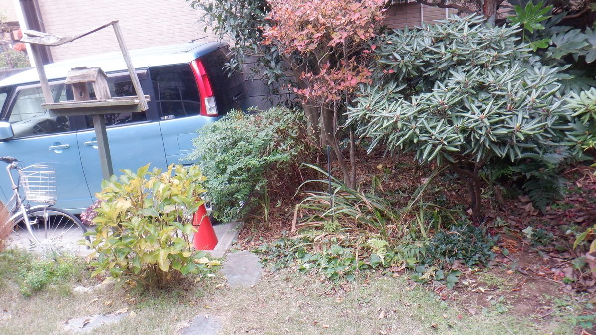 f:id:cafelegume:20201202224312j:plain