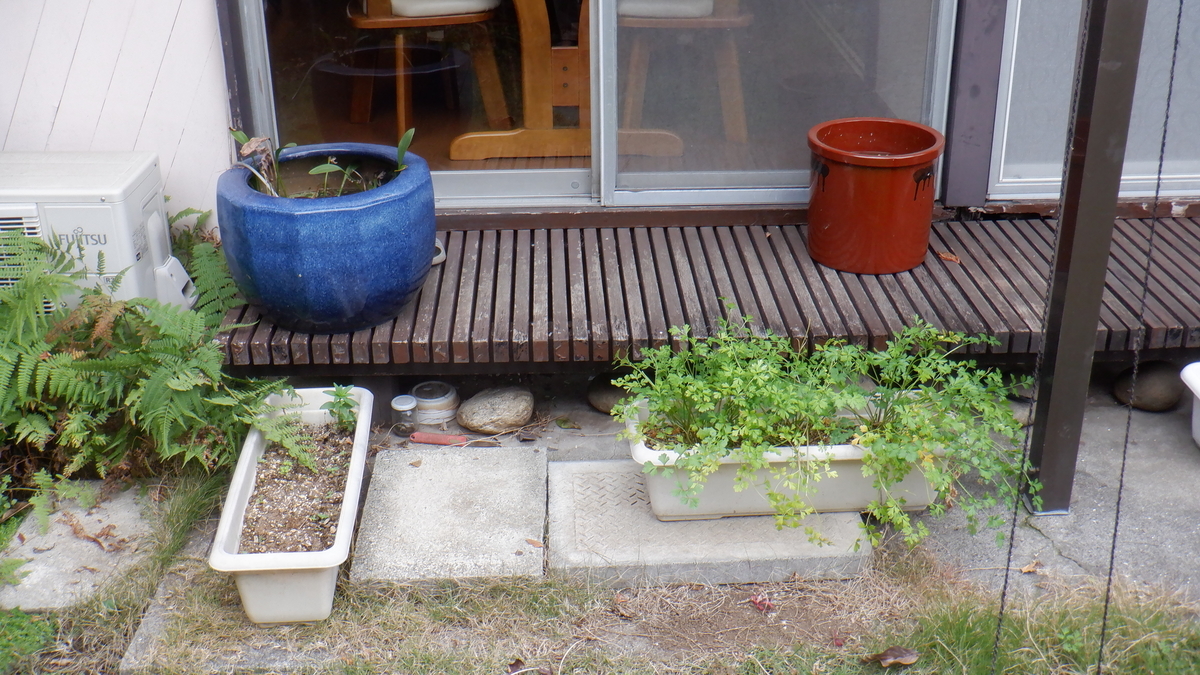 f:id:cafelegume:20201202231211j:plain