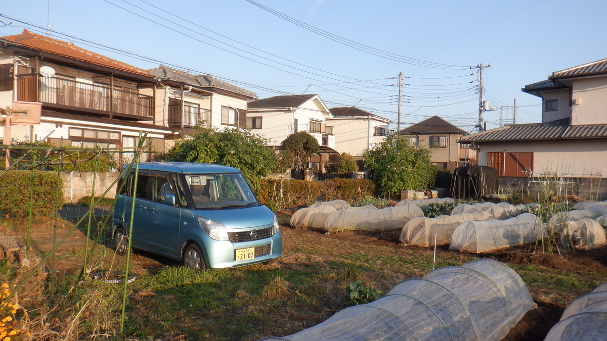 f:id:cafelegume:20201206214056j:plain