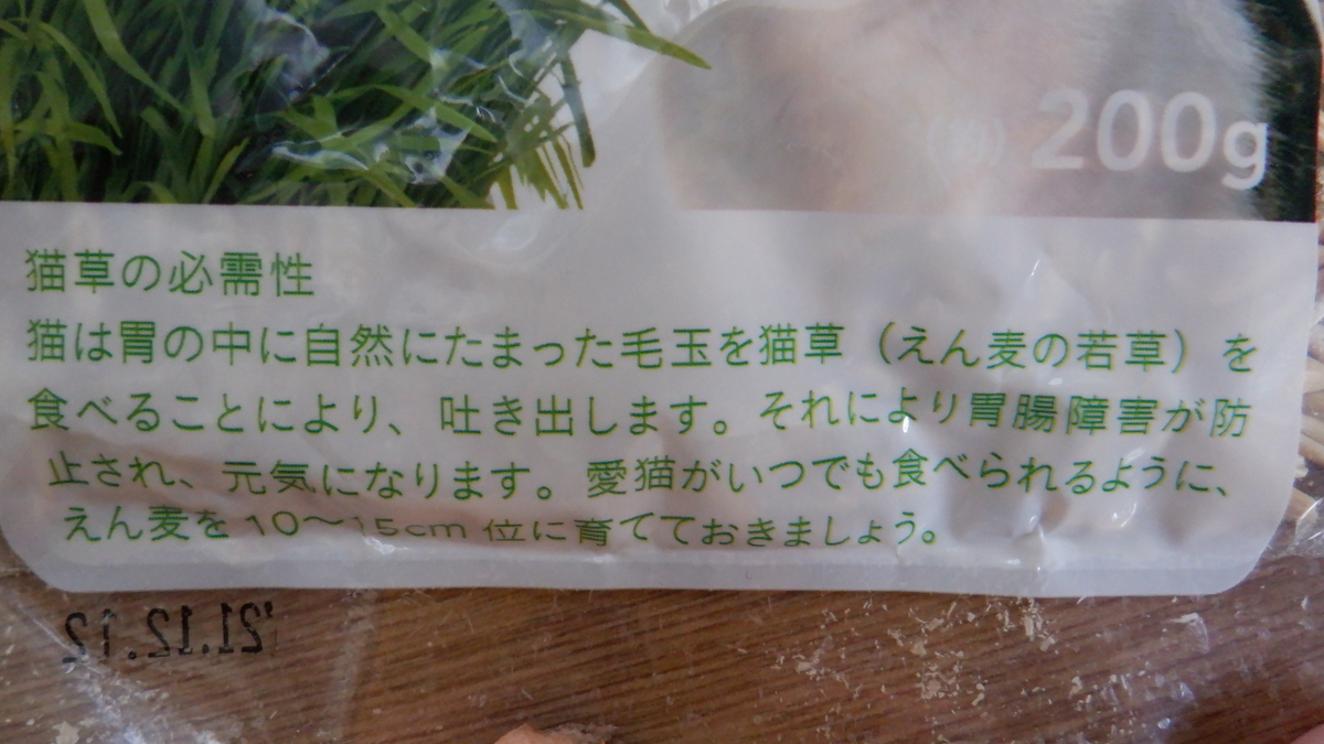 f:id:cafelegume:20210131001140j:plain