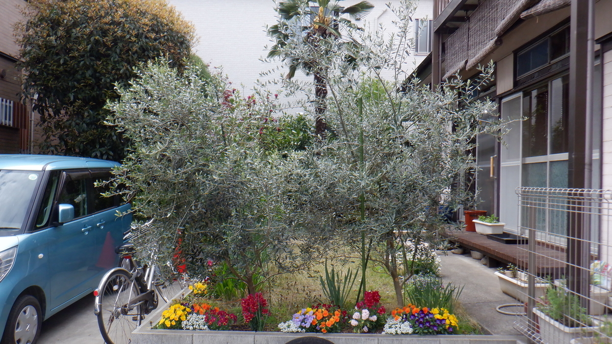 f:id:cafelegume:20210406210002j:plain