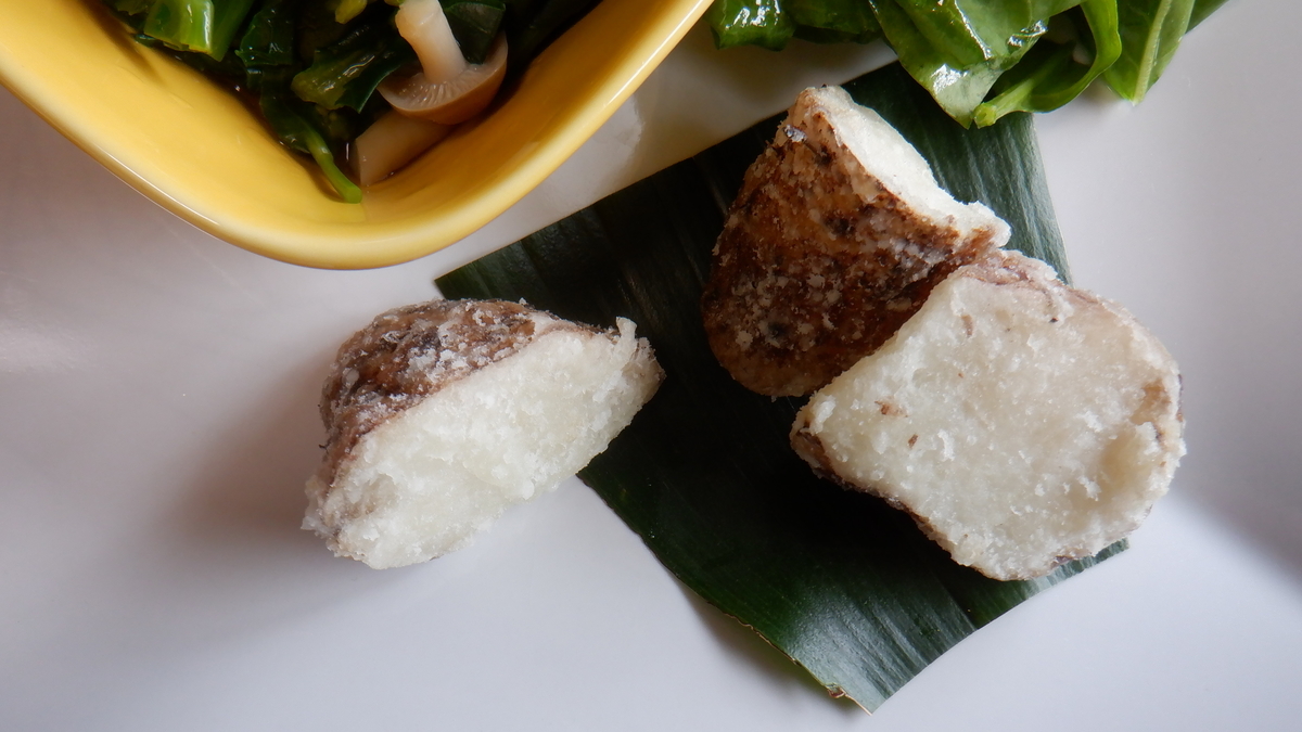 f:id:cafelegume:20210413203124j:plain