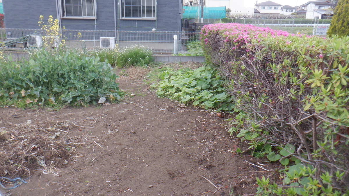 f:id:cafelegume:20210413205457j:plain