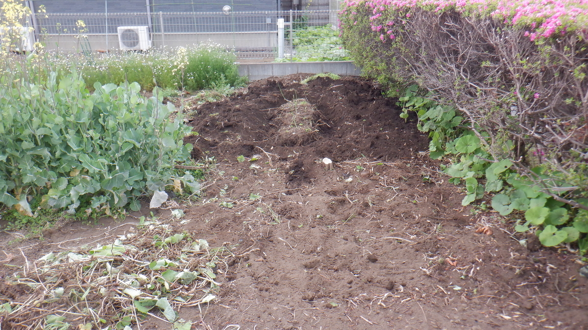 f:id:cafelegume:20210413205612j:plain