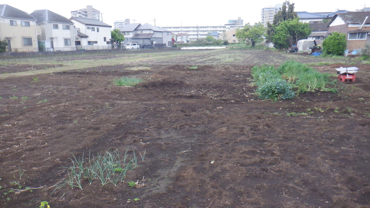 f:id:cafelegume:20210414224518j:plain