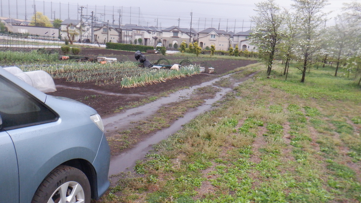 f:id:cafelegume:20210414225837j:plain