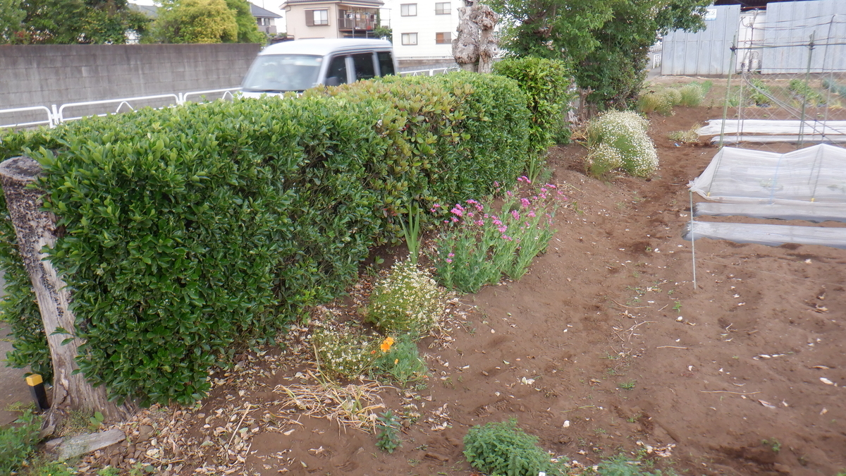 f:id:cafelegume:20210518001118j:plain