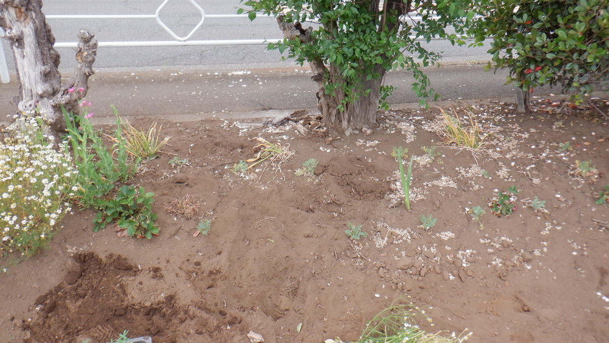 f:id:cafelegume:20210518001324j:plain