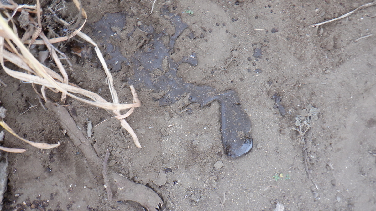 f:id:cafelegume:20210518002008j:plain