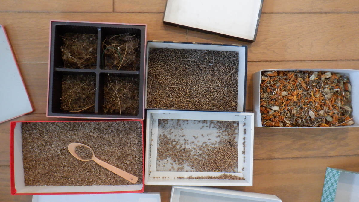 f:id:cafelegume:20210522192909j:plain