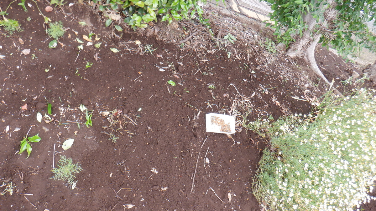 f:id:cafelegume:20210522194053j:plain