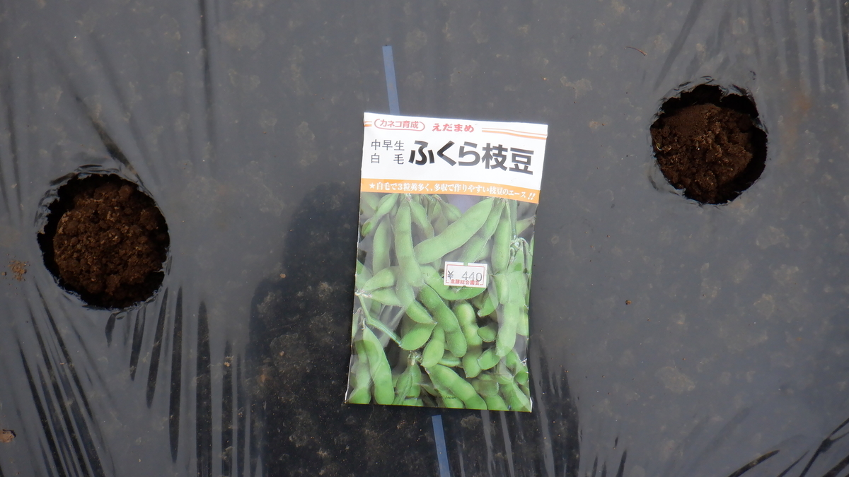 f:id:cafelegume:20210522195934j:plain