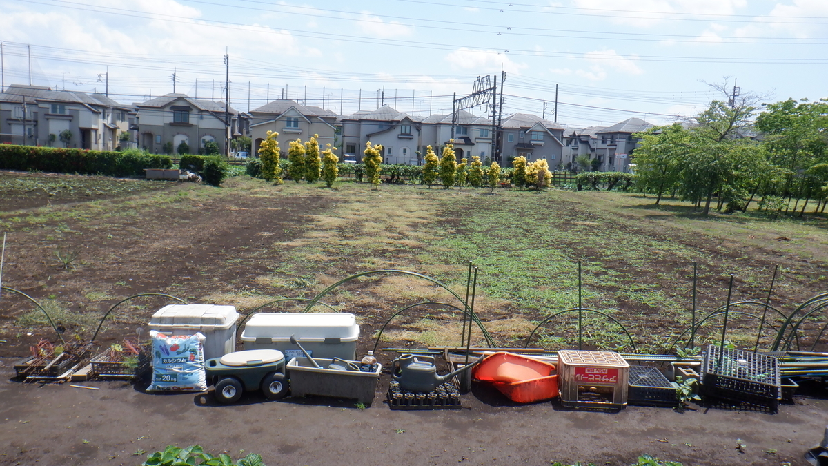 f:id:cafelegume:20210531214644j:plain