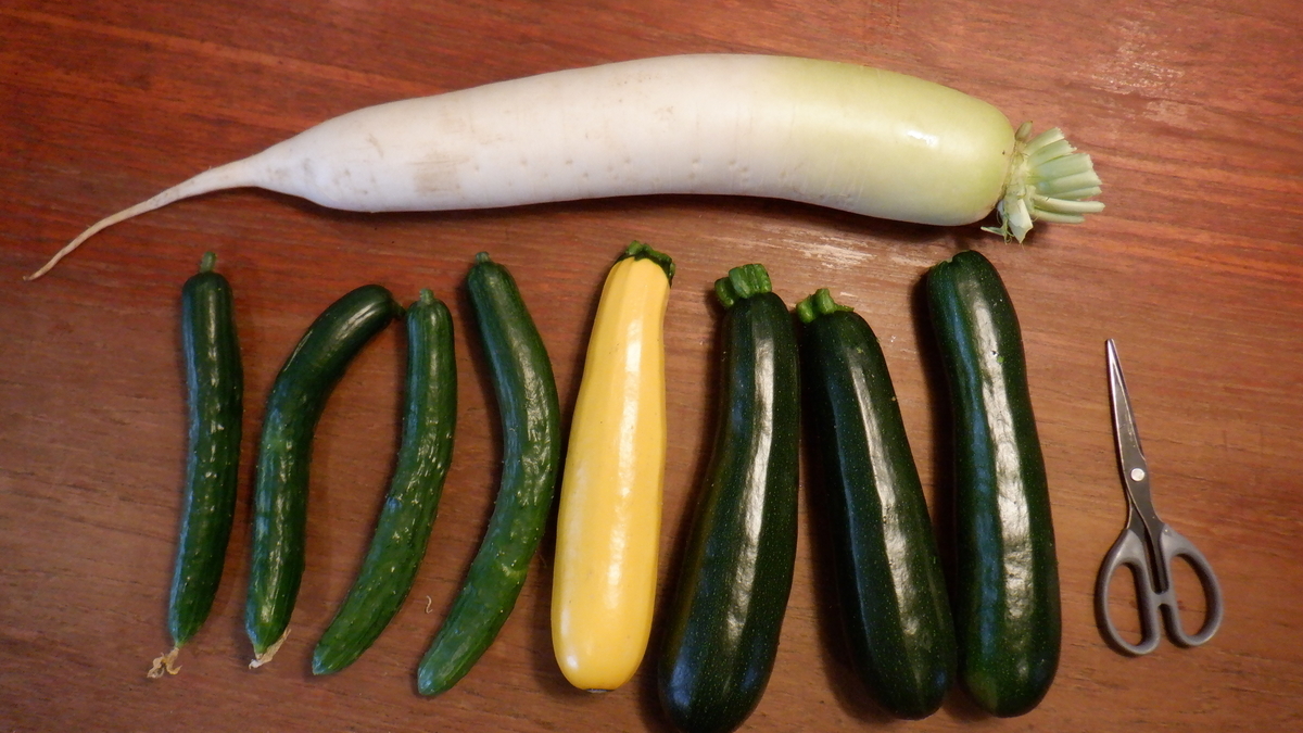 f:id:cafelegume:20210612234225j:plain