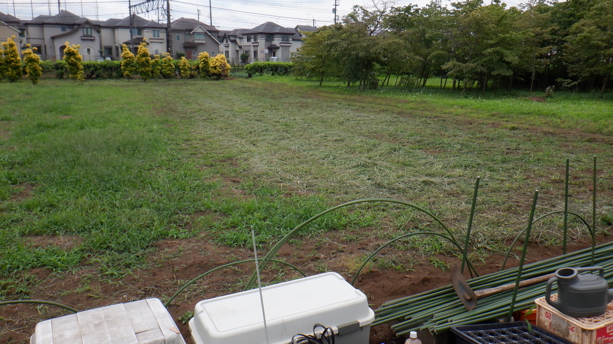 f:id:cafelegume:20210622224623j:plain