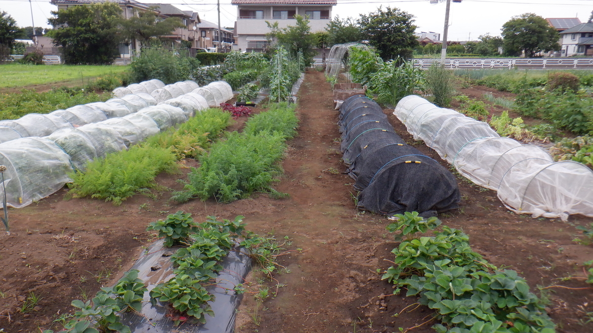 f:id:cafelegume:20210622230214j:plain