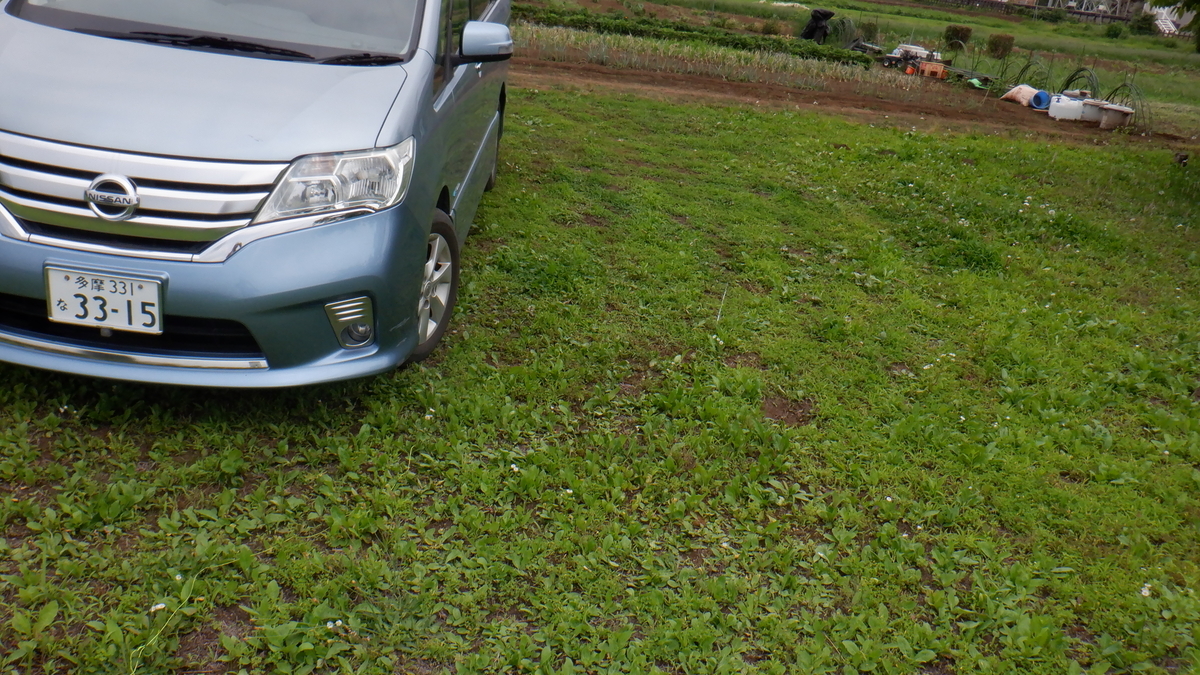 f:id:cafelegume:20210622232109j:plain