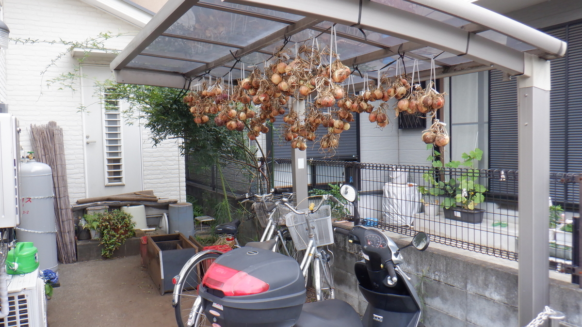 f:id:cafelegume:20210628215714j:plain