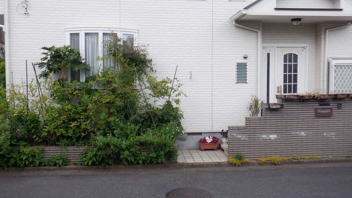 f:id:cafelegume:20210628220931j:plain