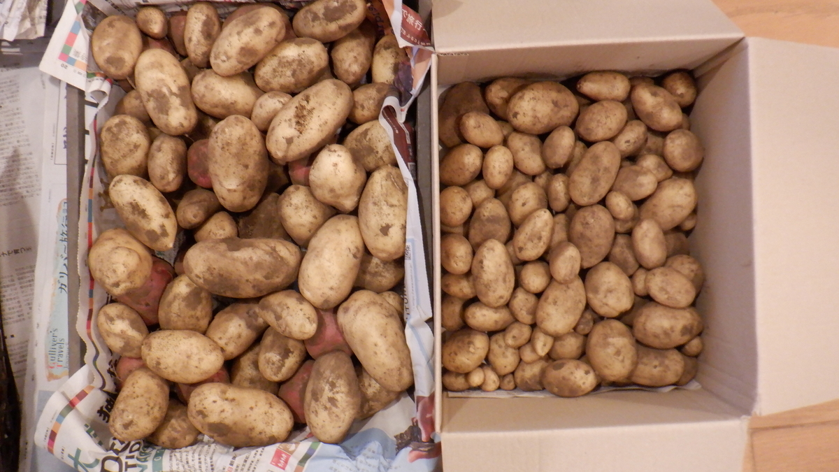 f:id:cafelegume:20210707235609j:plain