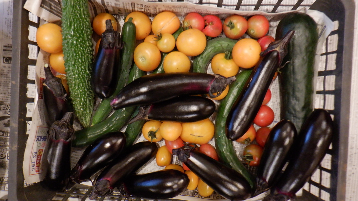 f:id:cafelegume:20210708000432j:plain