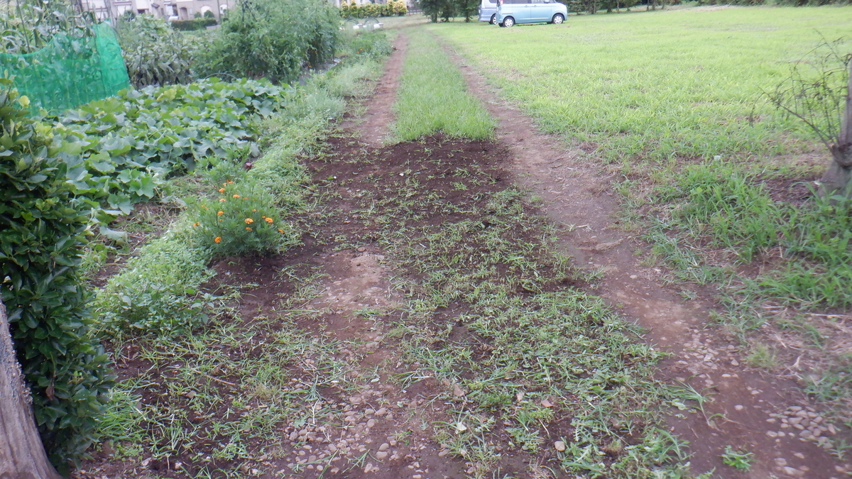 f:id:cafelegume:20210712224433j:plain