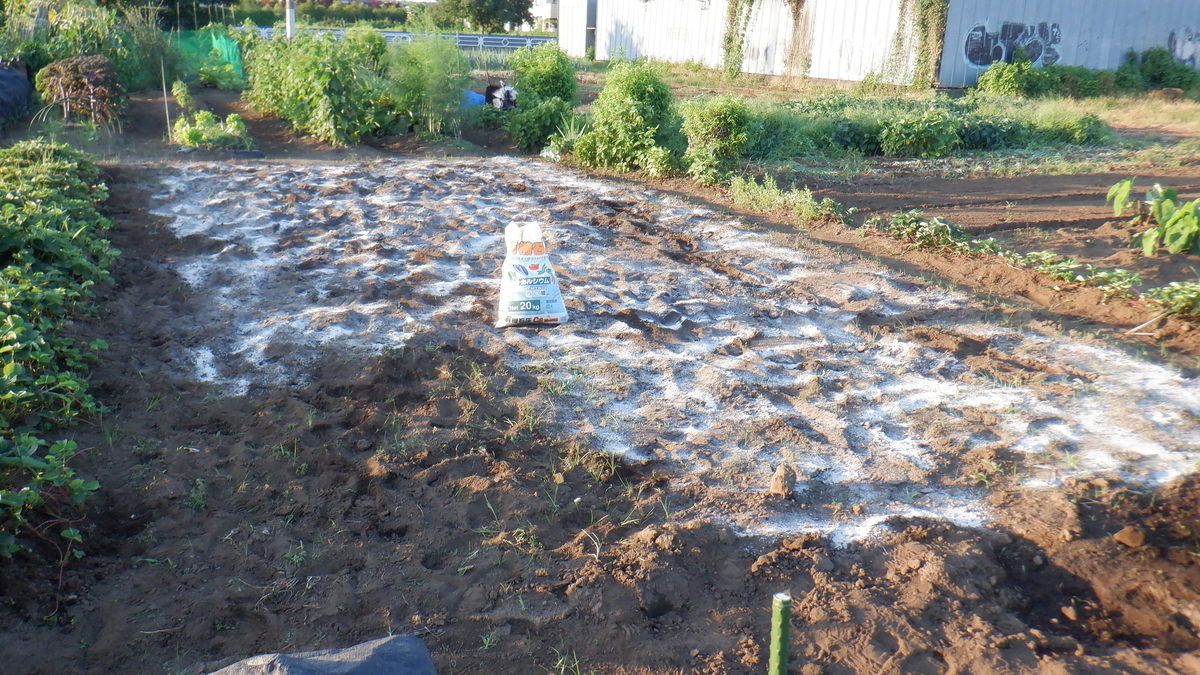 f:id:cafelegume:20210718232048j:plain