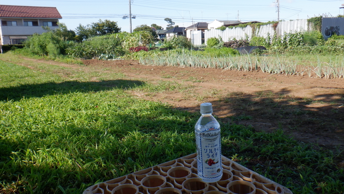 f:id:cafelegume:20210718232602j:plain