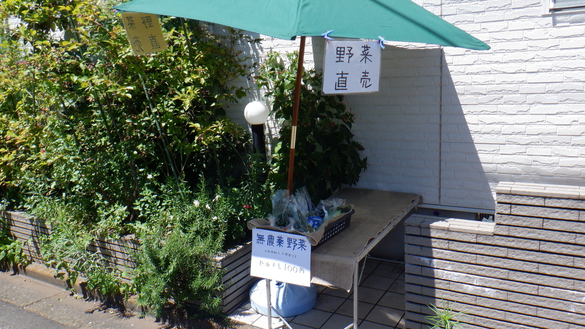 f:id:cafelegume:20210718235038j:plain