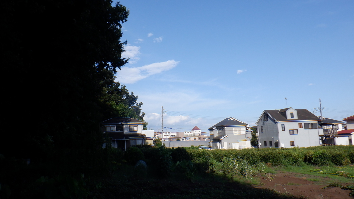 f:id:cafelegume:20210723232143j:plain