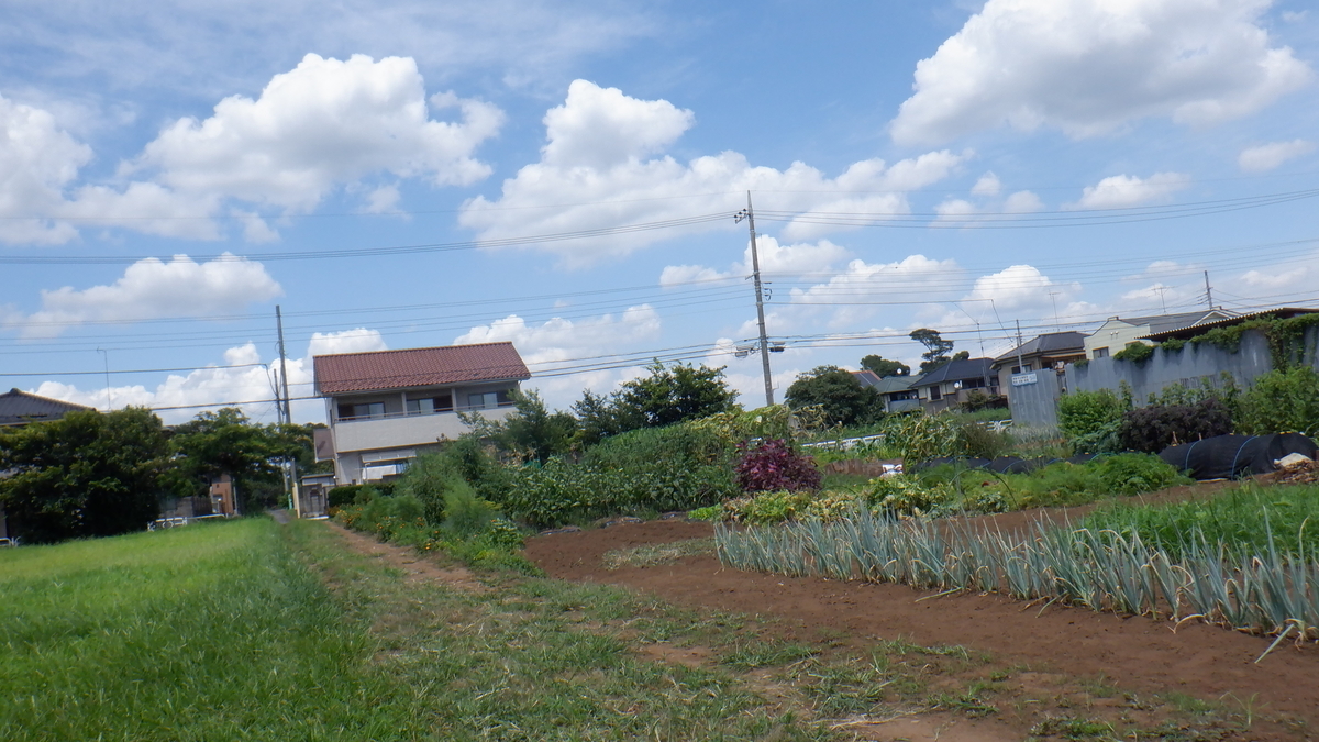 f:id:cafelegume:20210802222450j:plain