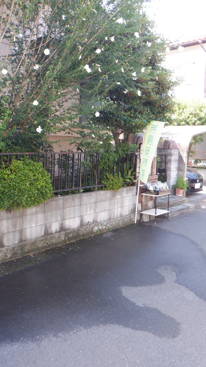 f:id:cafelegume:20210805221908j:plain