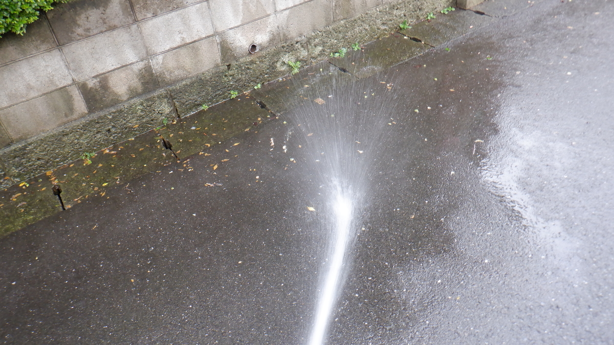 f:id:cafelegume:20210816223455j:plain
