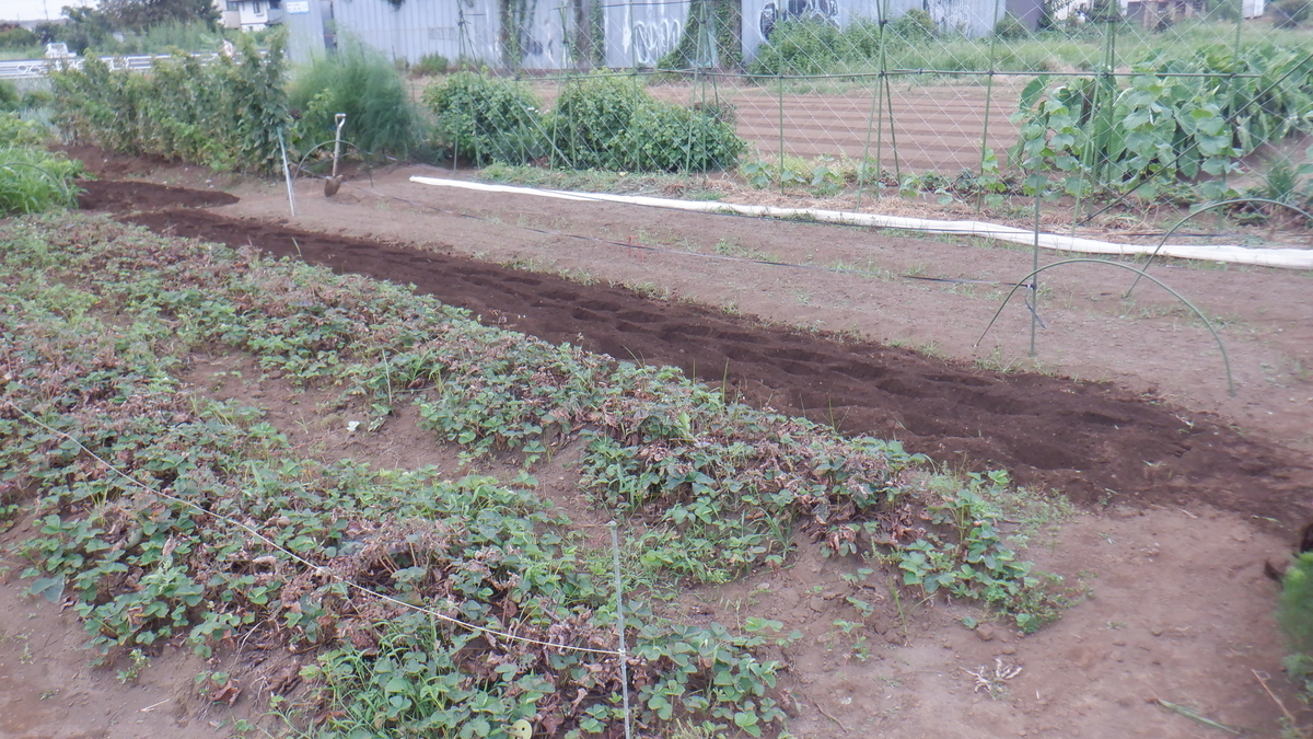 f:id:cafelegume:20210827212511j:plain