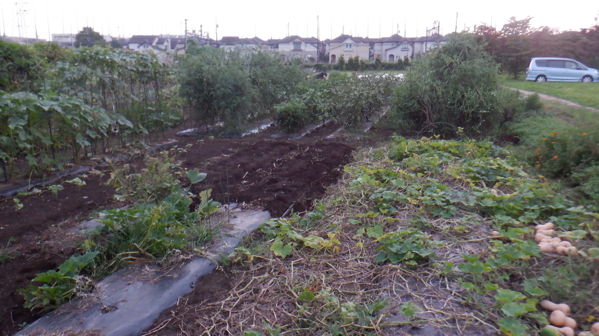 f:id:cafelegume:20210911222300j:plain