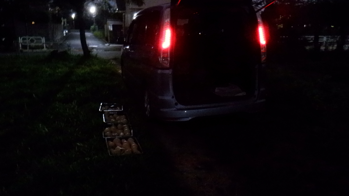 f:id:cafelegume:20210911224019j:plain