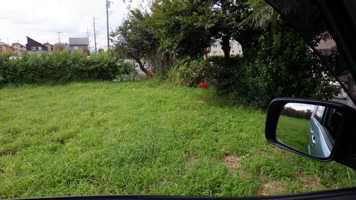 f:id:cafelegume:20210916205846j:plain