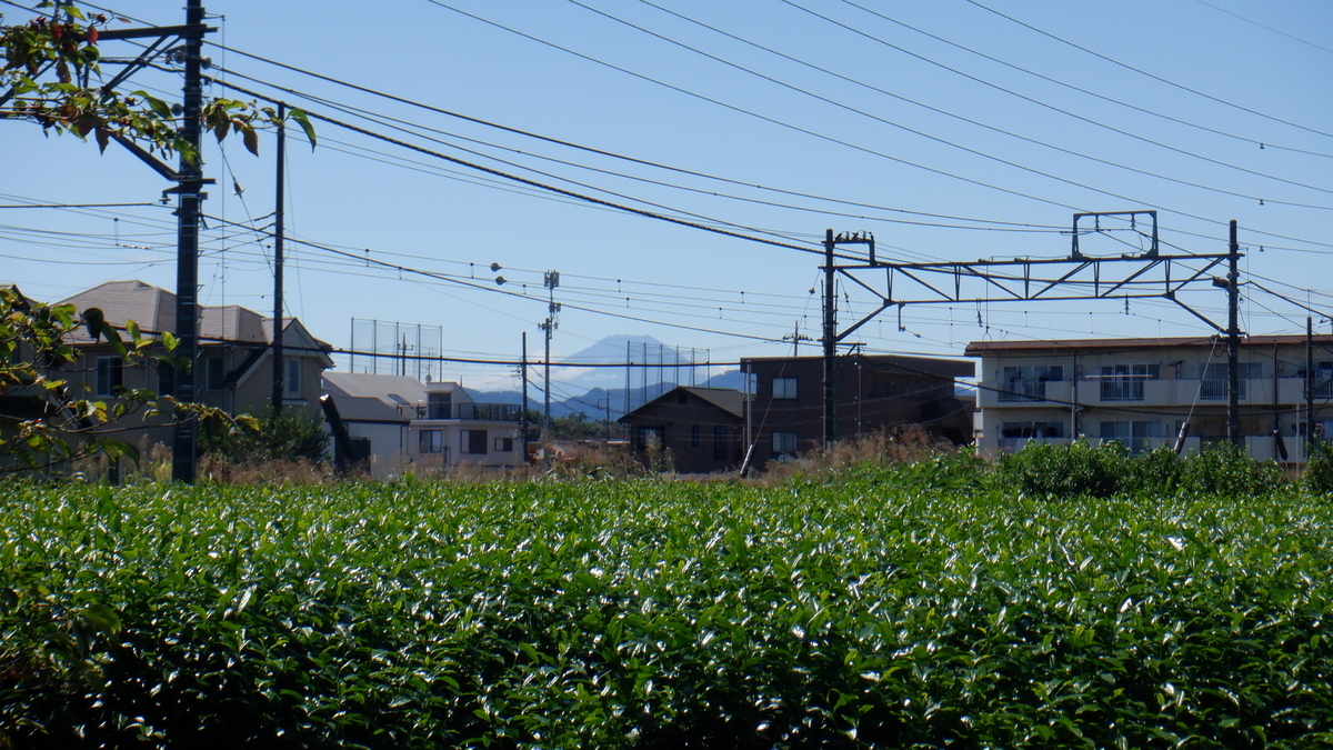 f:id:cafelegume:20210919224250j:plain