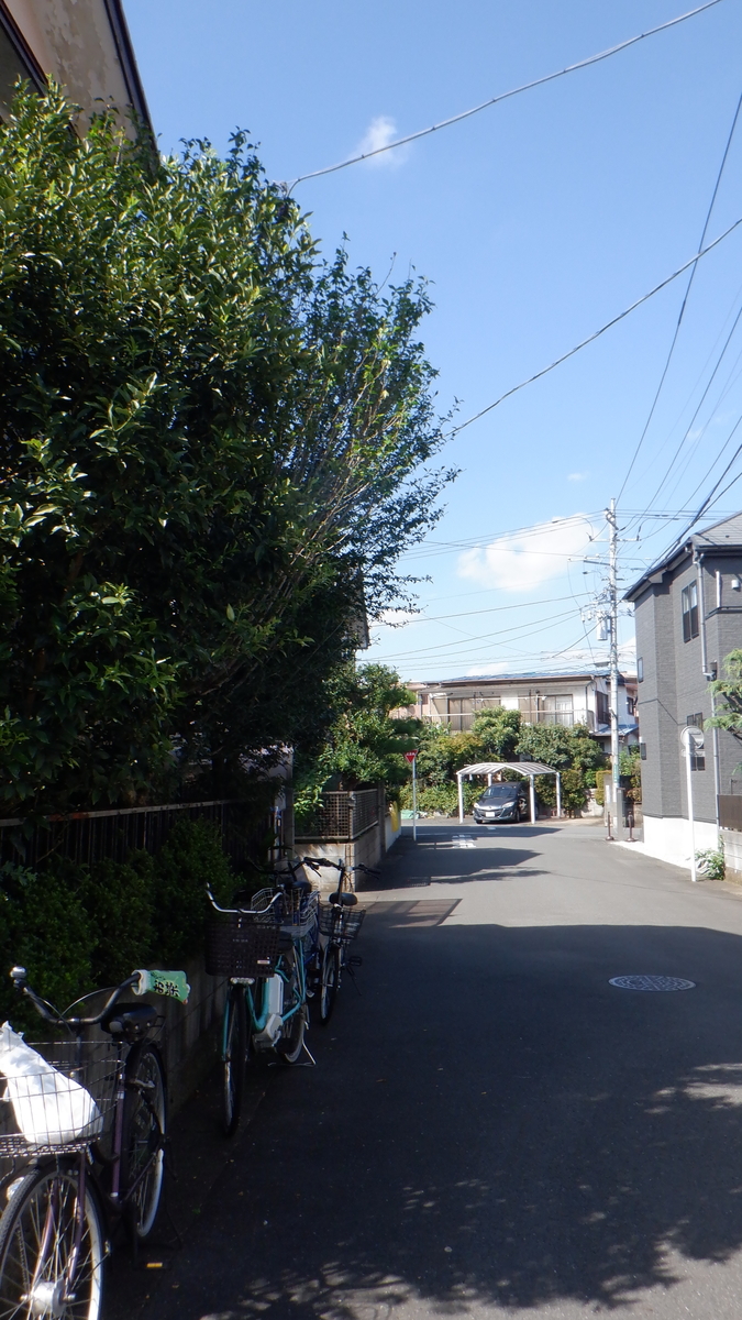 f:id:cafelegume:20210921210908j:plain