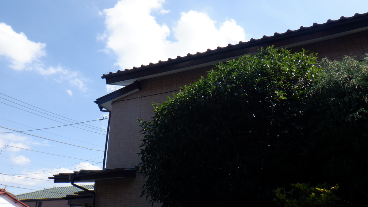 f:id:cafelegume:20210921211846j:plain