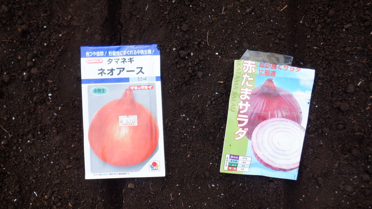 f:id:cafelegume:20210921212817j:plain