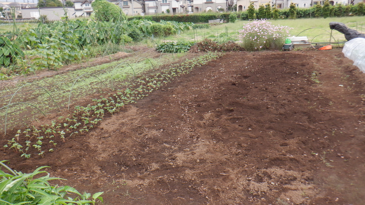 f:id:cafelegume:20210926203350j:plain