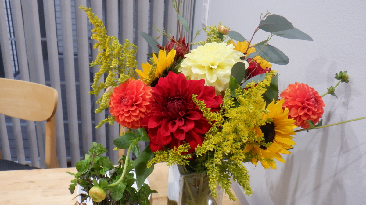 f:id:cafelegume:20211011123846j:plain