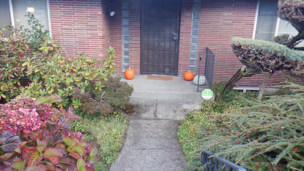 f:id:cafelegume:20211015200957j:plain