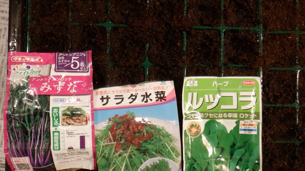 f:id:cafelegume:20211023192452j:plain