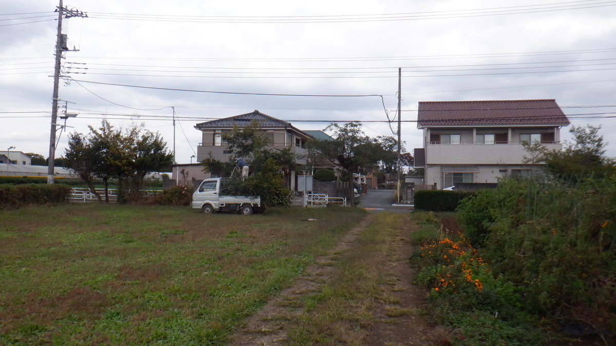 f:id:cafelegume:20211101230421j:plain