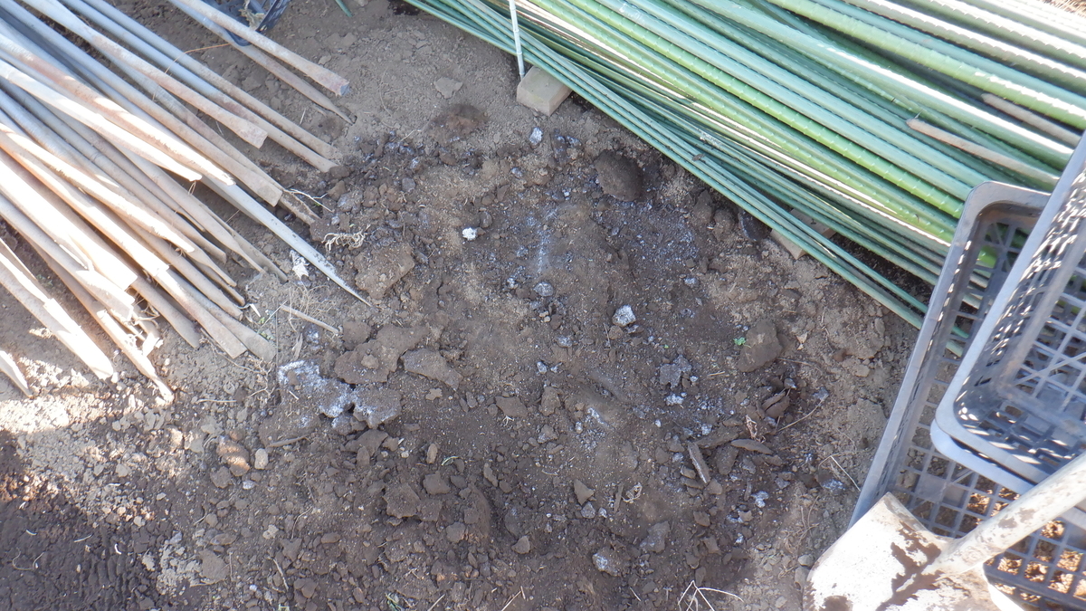 f:id:cafelegume:20220102220614j:plain