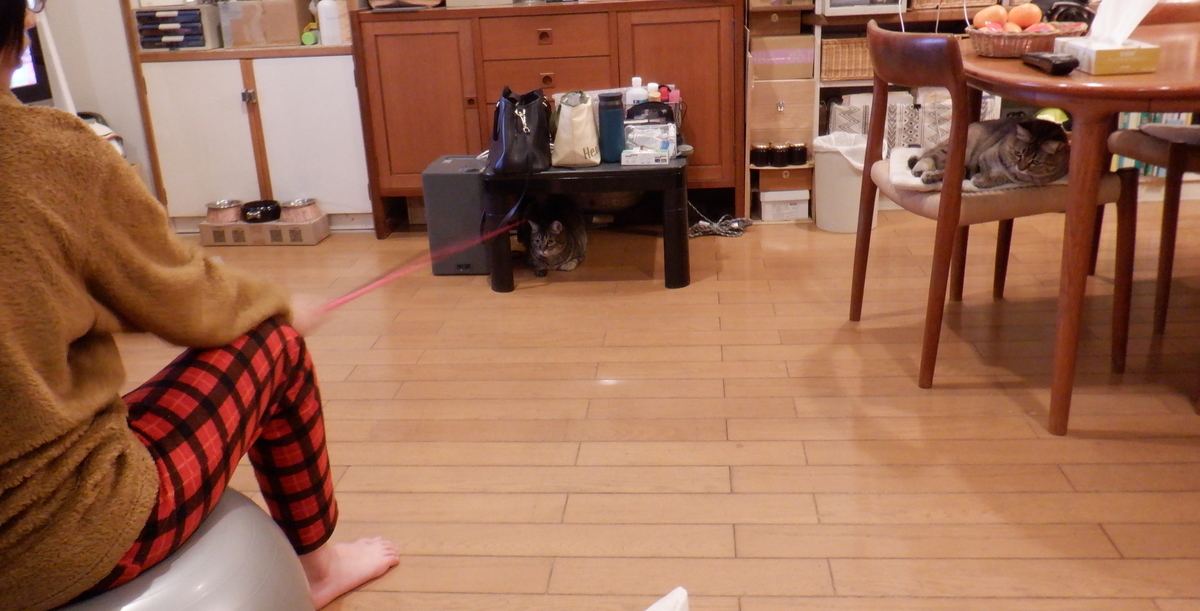 f:id:cafelegume:20220103224202j:plain
